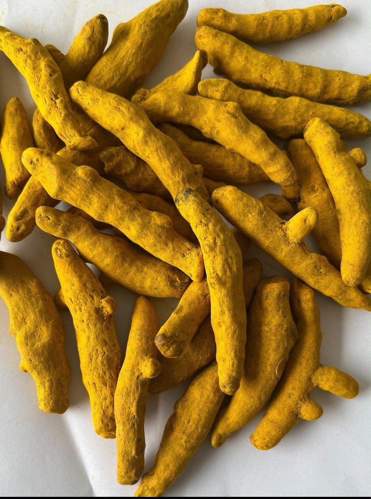 Whole dried turmeric fingers